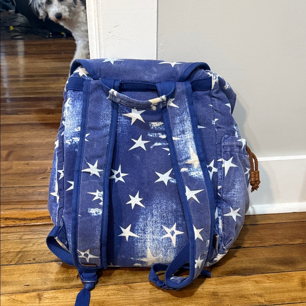 Blue Star Pattern Backpack - image 3